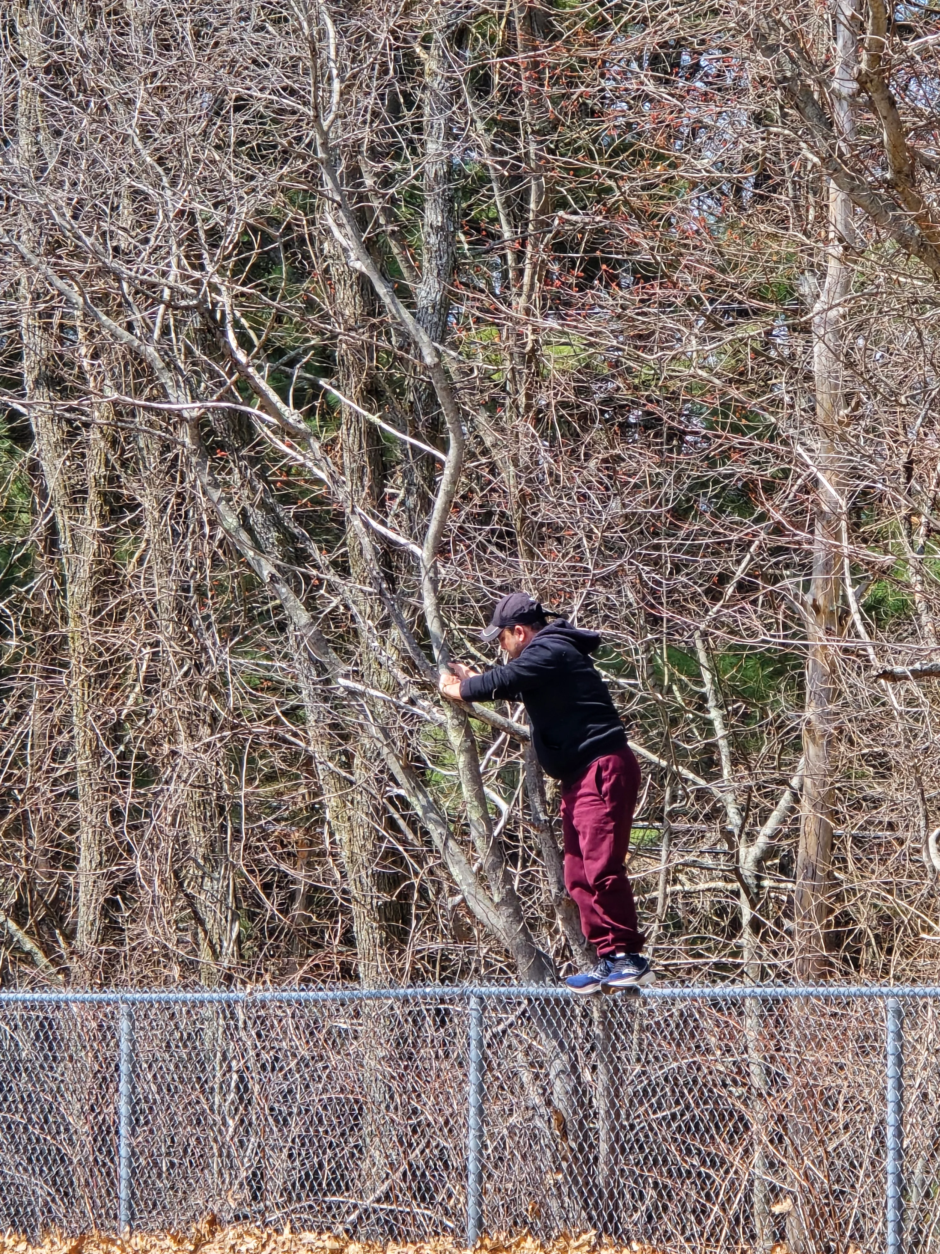 Gunjesh hops the fence to retrieve the ball