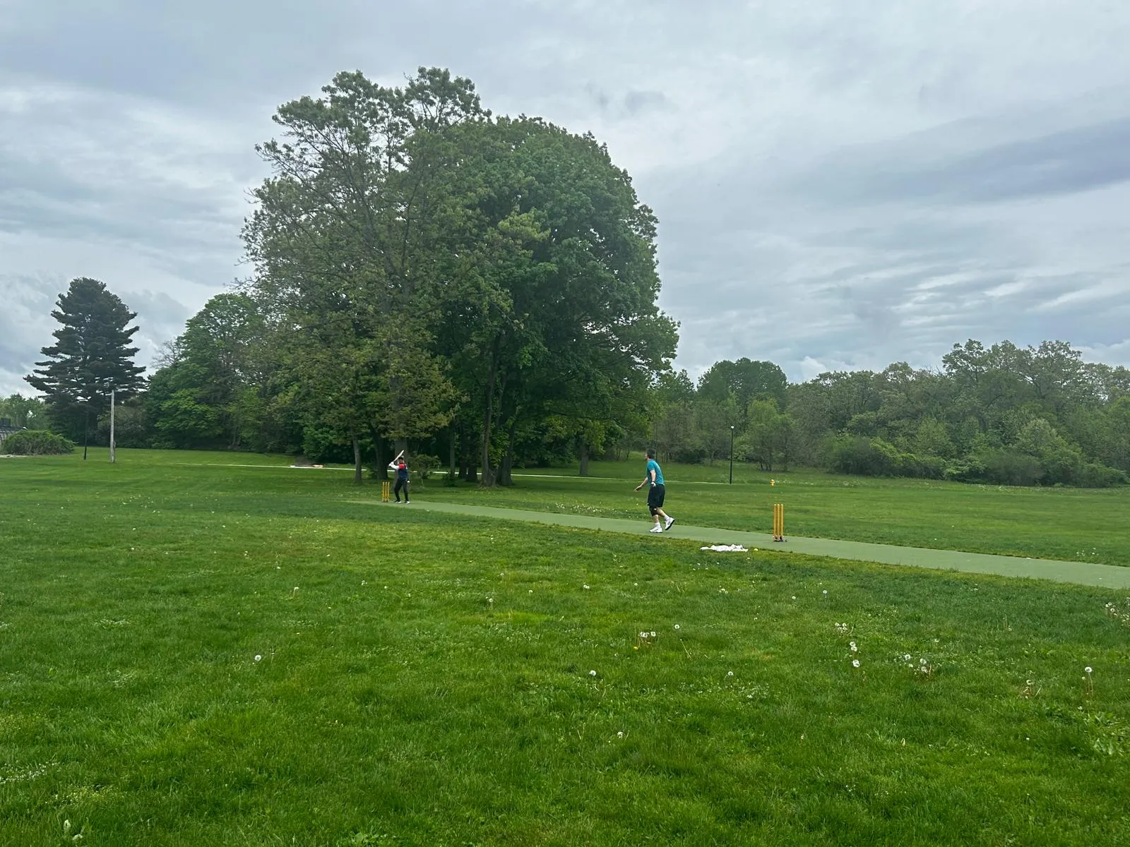 Chauncey Cricket Pitch