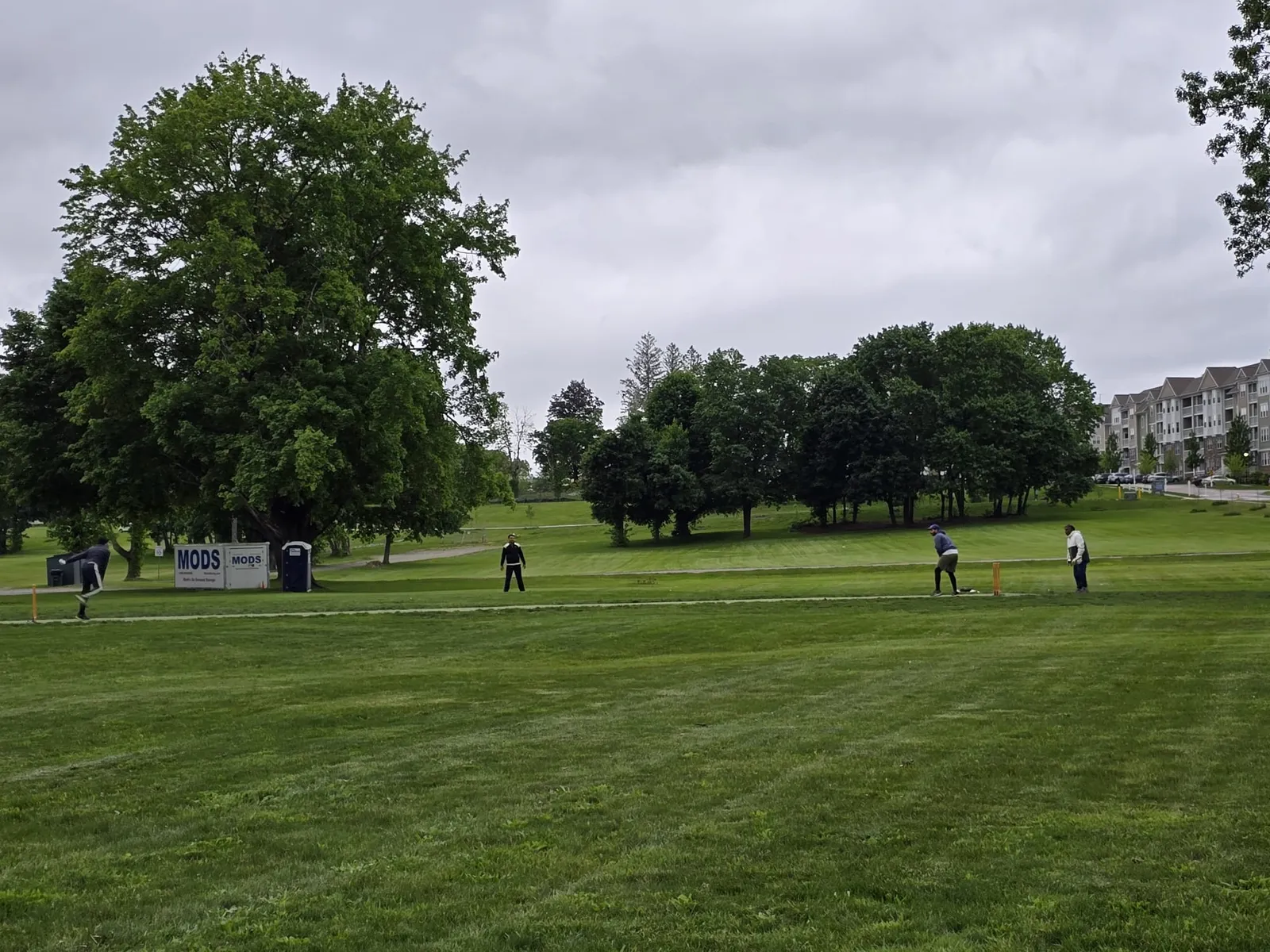 Chauncey Cricket Ground